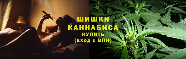 эйфоретик Белокуриха