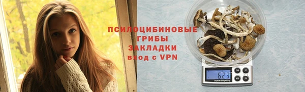 эйфоретик Белокуриха