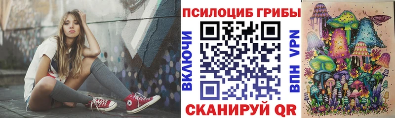 купить наркотик  Лыткарино  Галлюциногенные грибы Magic Shrooms 